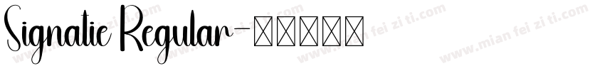 Signatie Regular字体转换